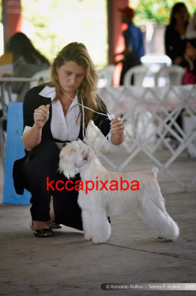 Clique sobre a foto para fechar